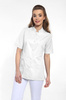 Women`s apron, short (long or short sleeve)