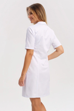 Women`s apron, short (long or short sleeve)
