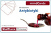  Antybiotyki mindCards